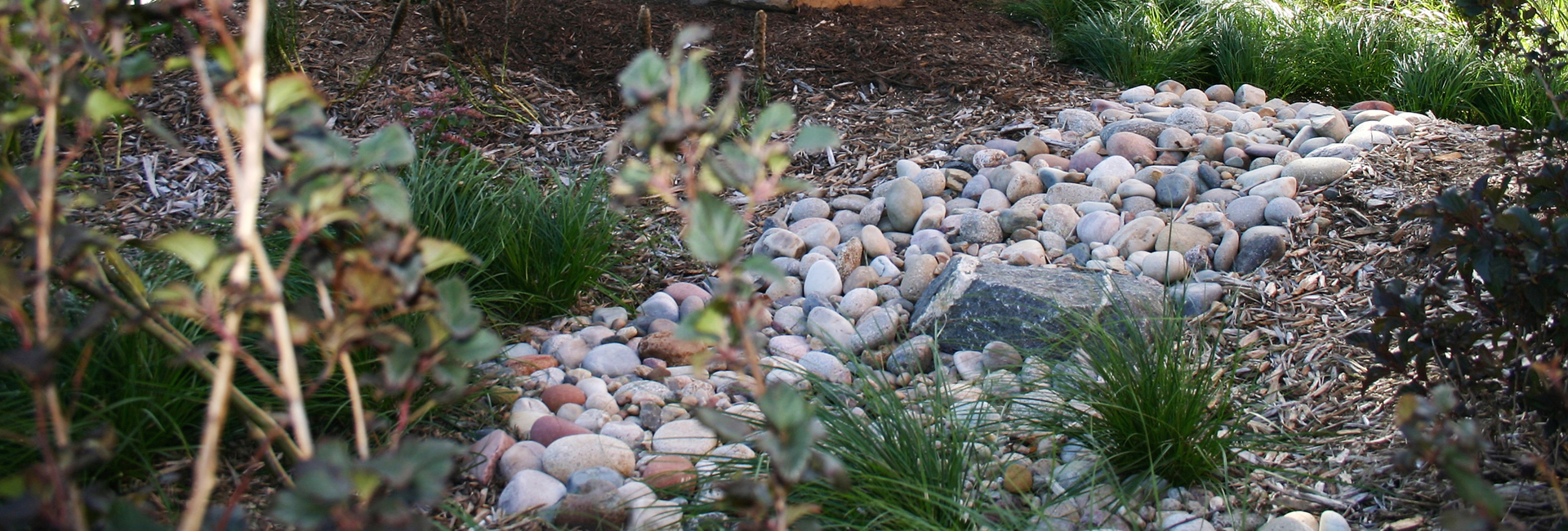 Dedicated this fall, Benson West Elementary School's rain garden was the joint effort of the school, UNO, OPS Facilities and the Nebraska Extension Office.