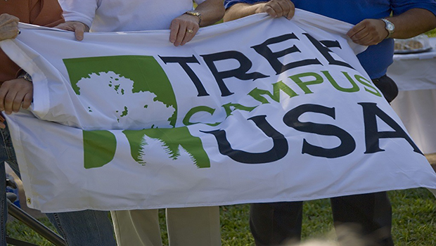 Tree Campus USA banner