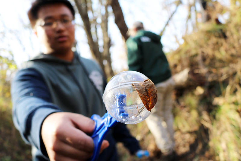 Student from Northwest High School captures a waterbug at Pawnee Creek