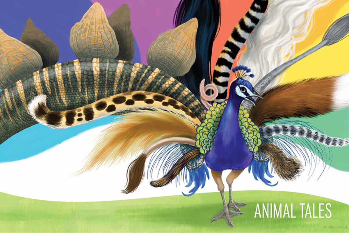 The cover for the Winter 2020 UNO Magazine, featuring a peacock with different animal tails for feathers.