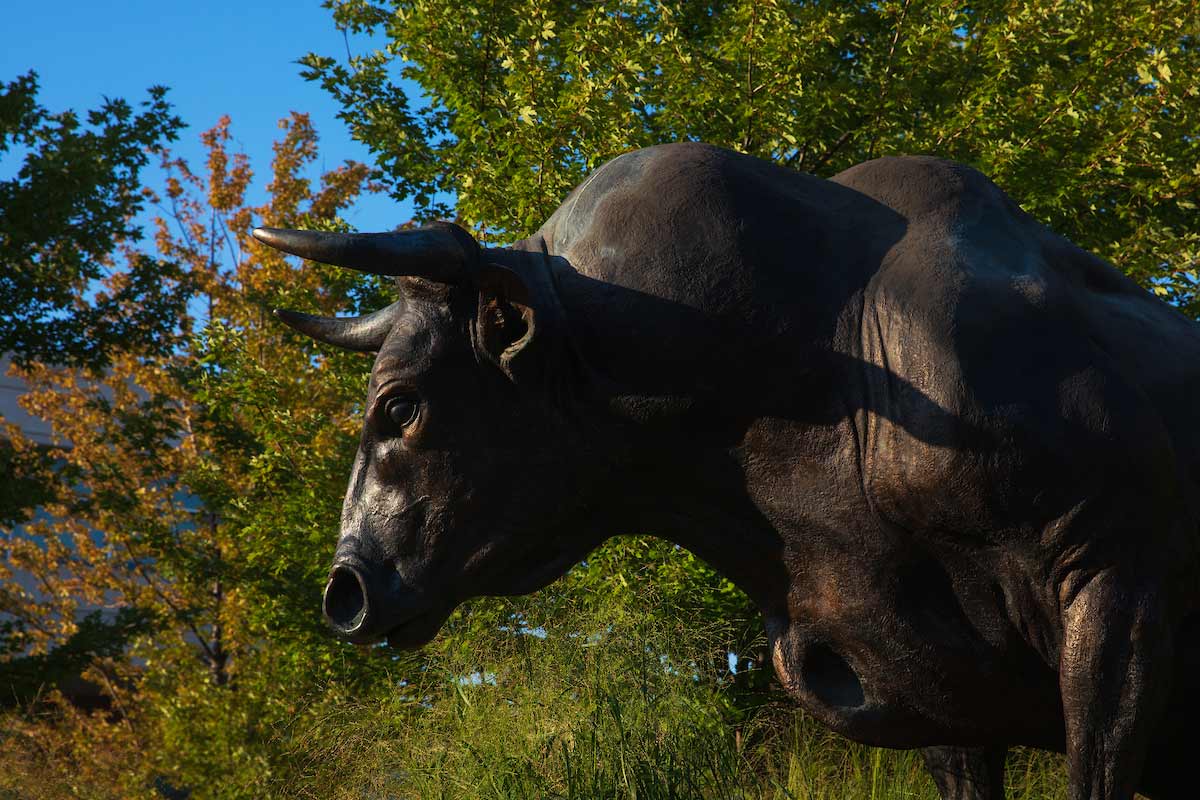 A photo of the UNO Maverick Monument from the side.