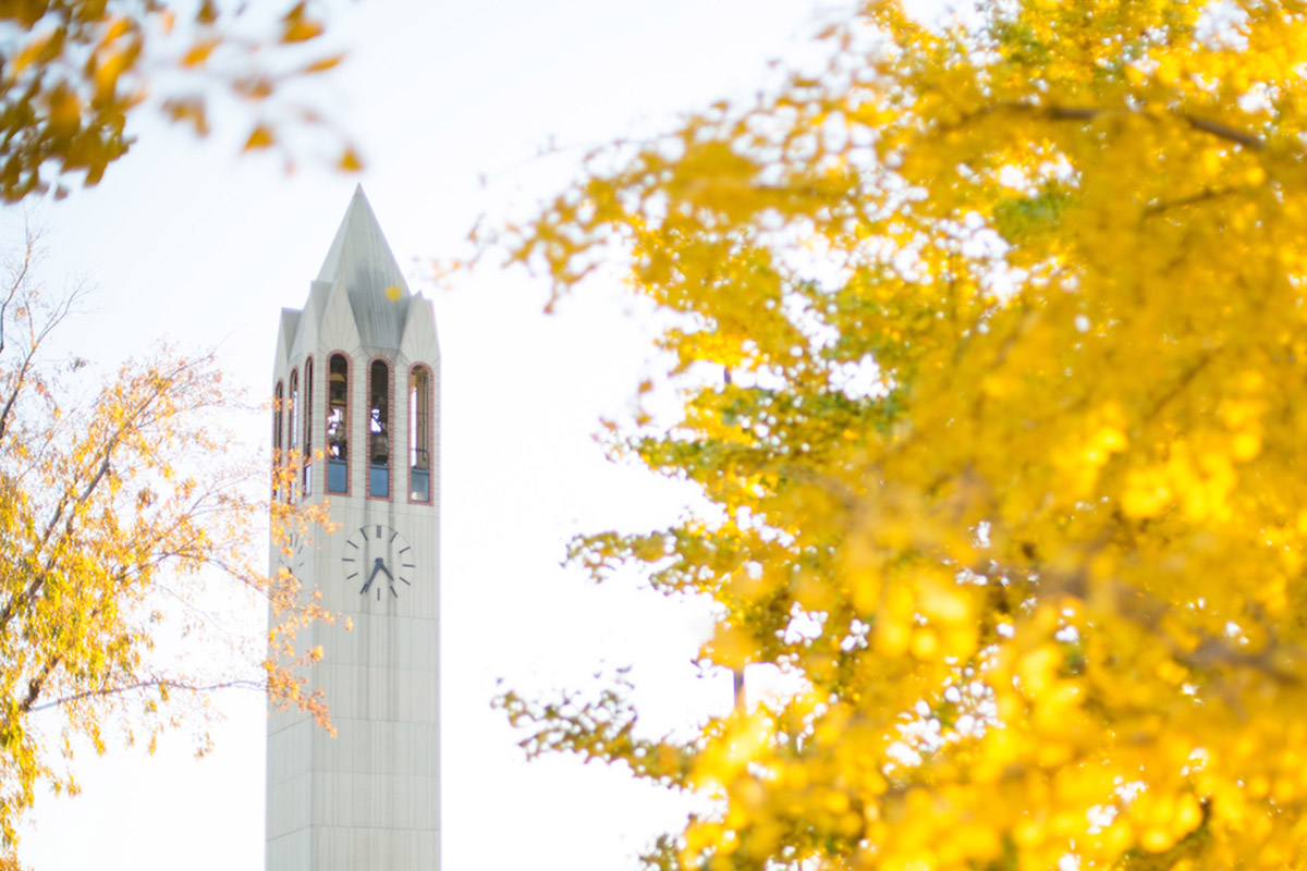 Campanile in fall