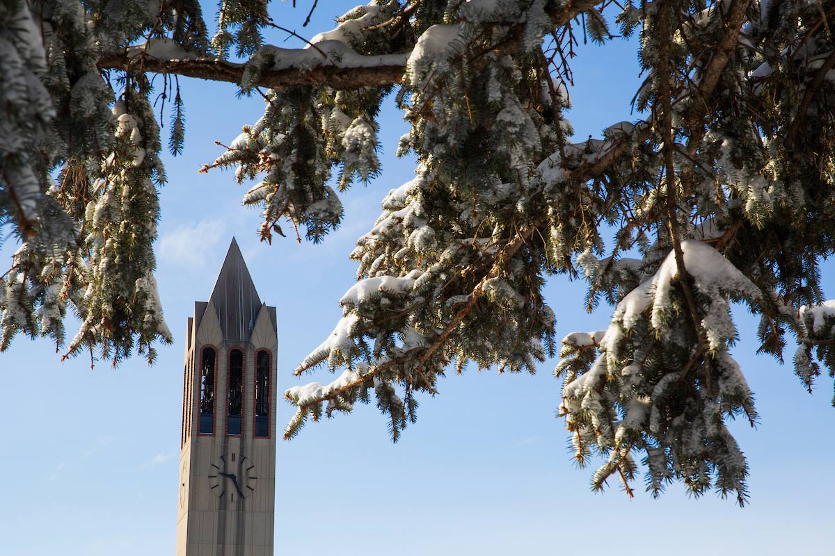 campanile covered in snow