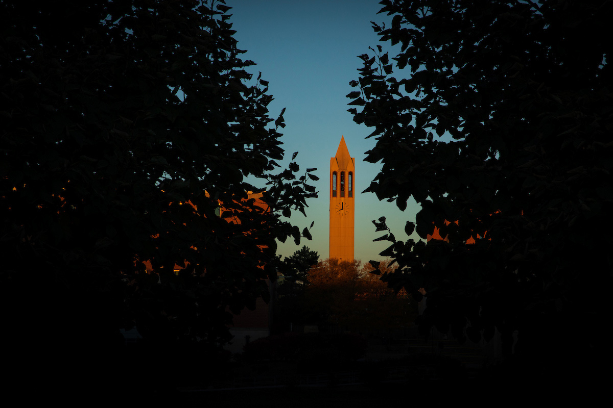Henningson Memorial Campanile through the trees