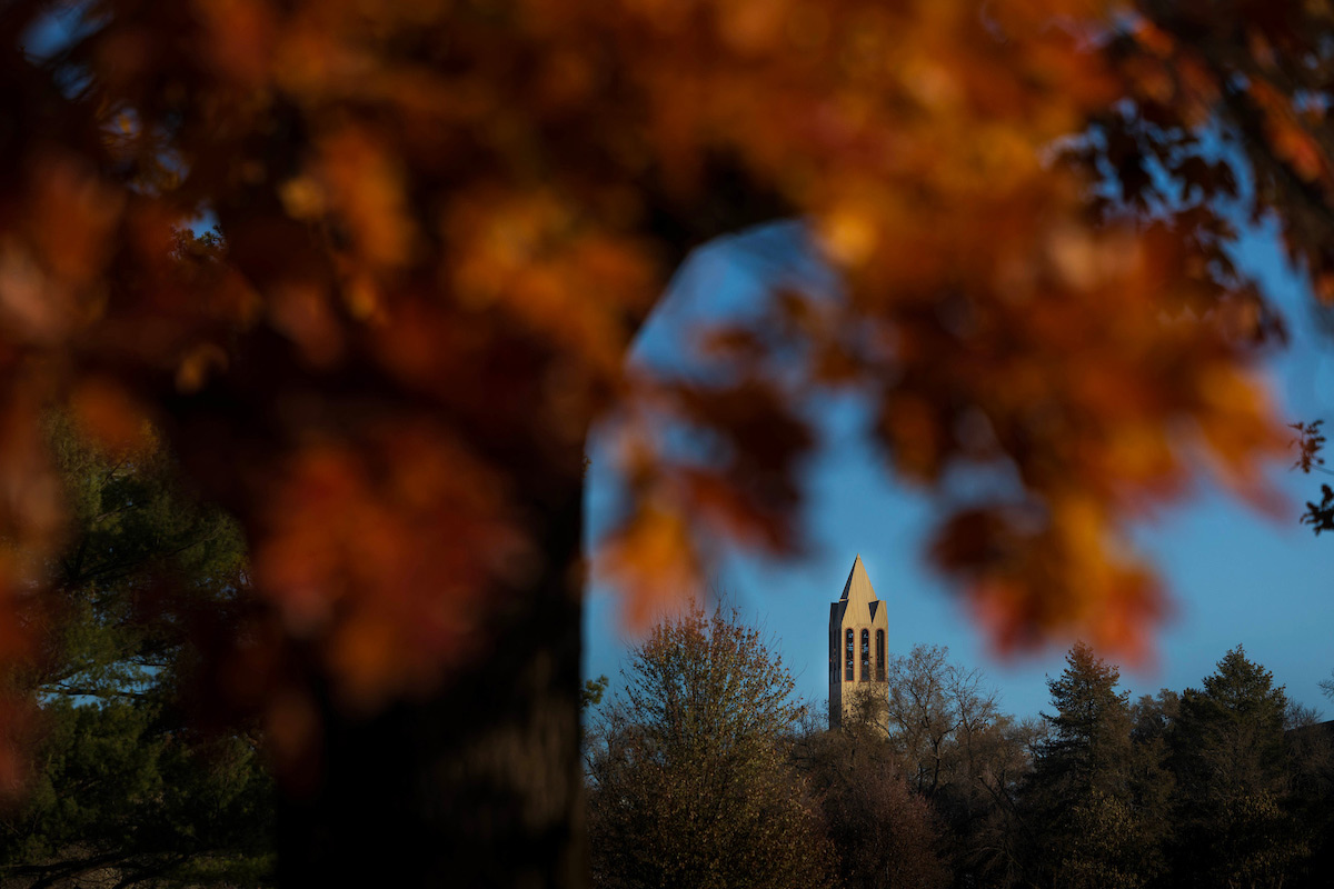 The campanile as seen from Elmwood Park, framed in autumn leaves.