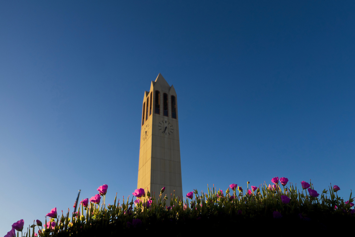 The Henningson Memorial Campanile, also known as the Bell Tower, with spring flowers.