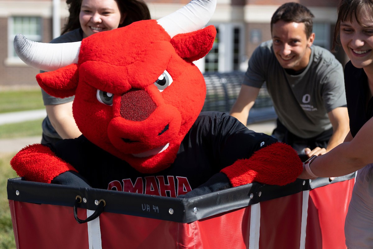 Durango in a cart being pushed around by volunteers during move-in.