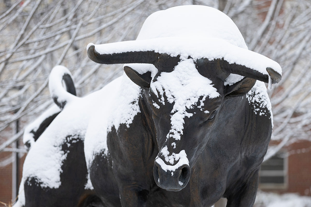 Maverick Monument in snow 2024