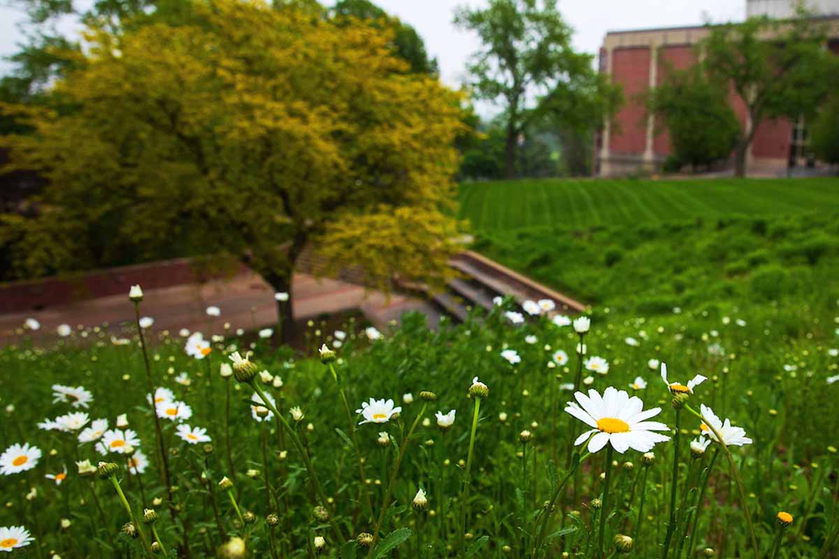 Uno Calendar Spring 2022 Uzpjn7B-1Iar3M