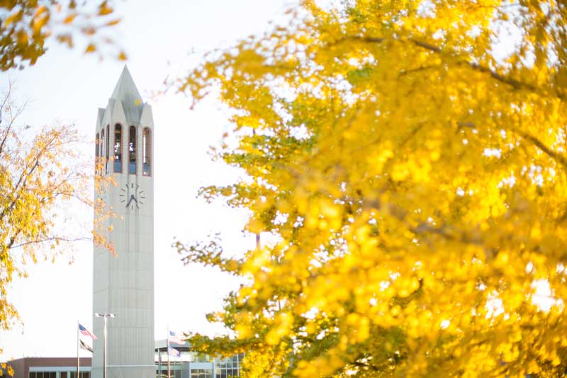 campus in spring