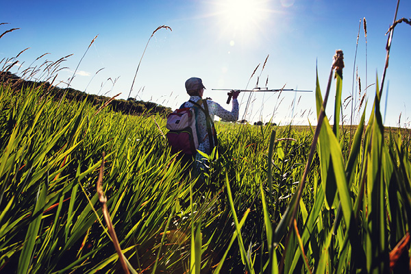 A student walks through tall grass at a local nature preserve.
