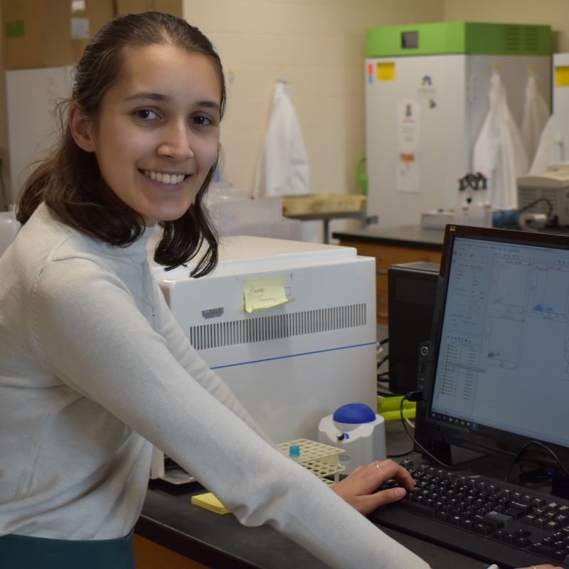 College Student works at a computer station in a college laboratory