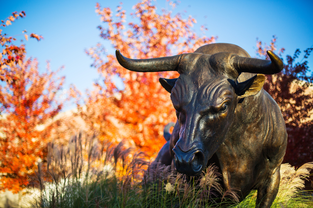 Maverick Monument on the UNO Dodge campus. There are fall colored leaves and a blue sky in the back ground.