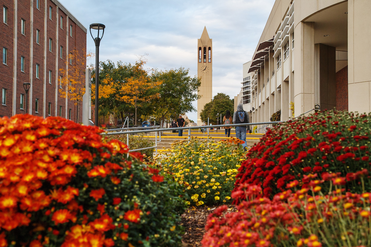 Students walk along a campus pathway lined with vibrant autumn flowers and trees, with a tall clock tower in the background. The scene features buildings on either side of the path, and the trees display a mix of green and fall colors.