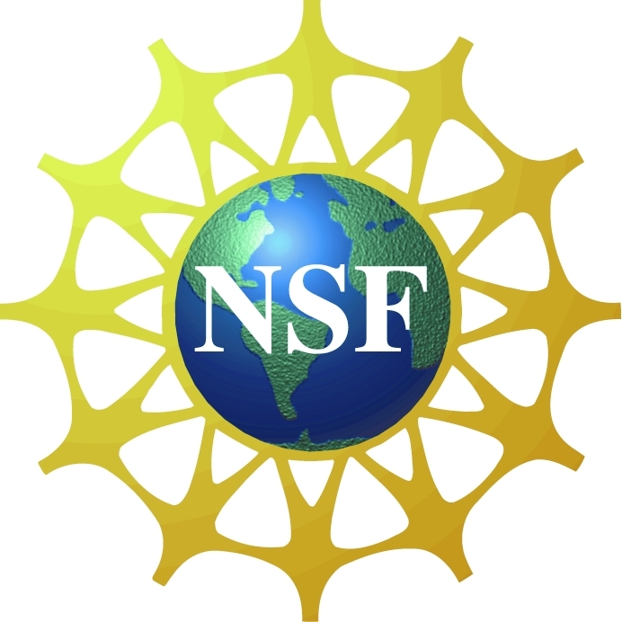 Logo of the national science foundation. graphic design of earth with yellow lines surrounding it. 