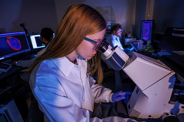 students work in a lab