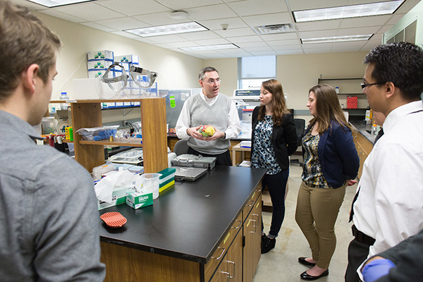 students listen to a professor who is holding a model of a human brain