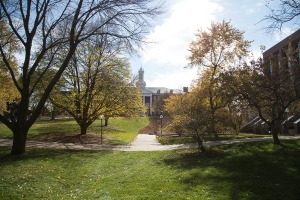 ash in the fall