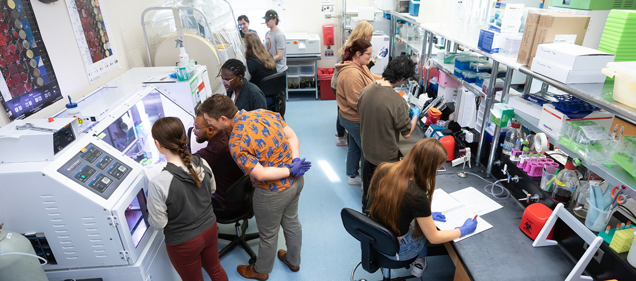 Students and a professor work in a lab.