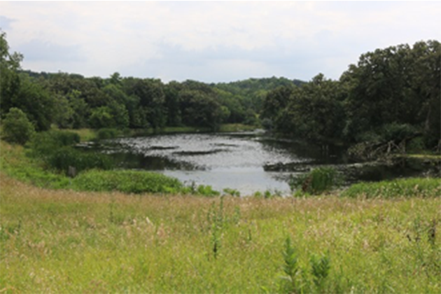 Turkey Creek Preserve, Biology