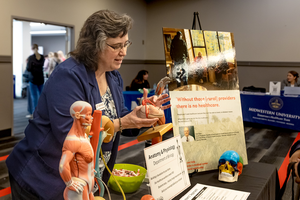 Anatomy Hands-On Activity