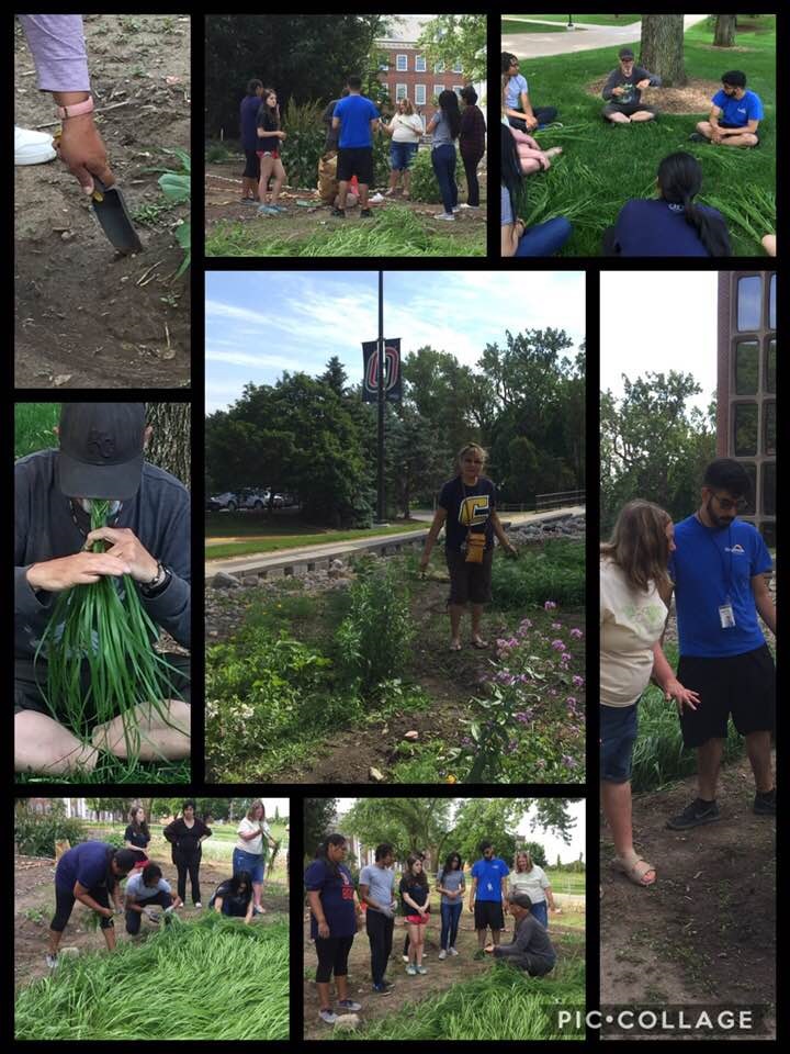 Traditional Ecological Knowledge:  Native Horticulture 