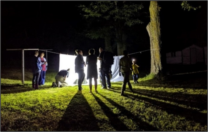 Image of people standing around outside an insect light and white sheet hung on a clothes line. 