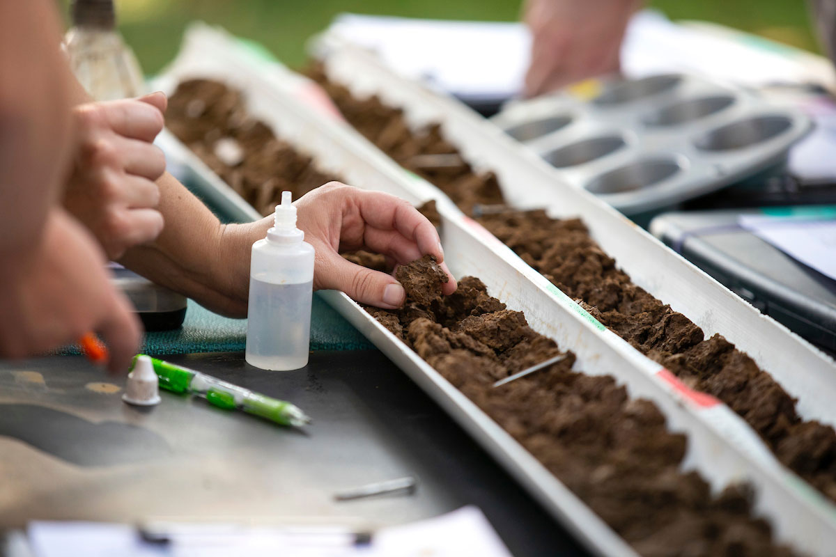 Two tubes of soil laying on a table surrounded by tools