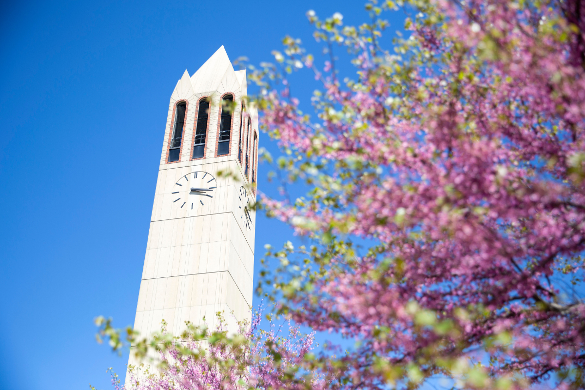 The UNO Campanile surrounded by purple flowers.