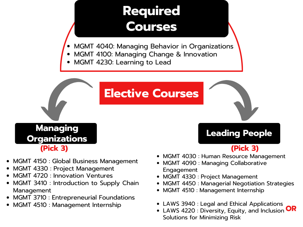 Flow chart showing course pathways