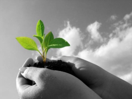 Sustainability Concentration