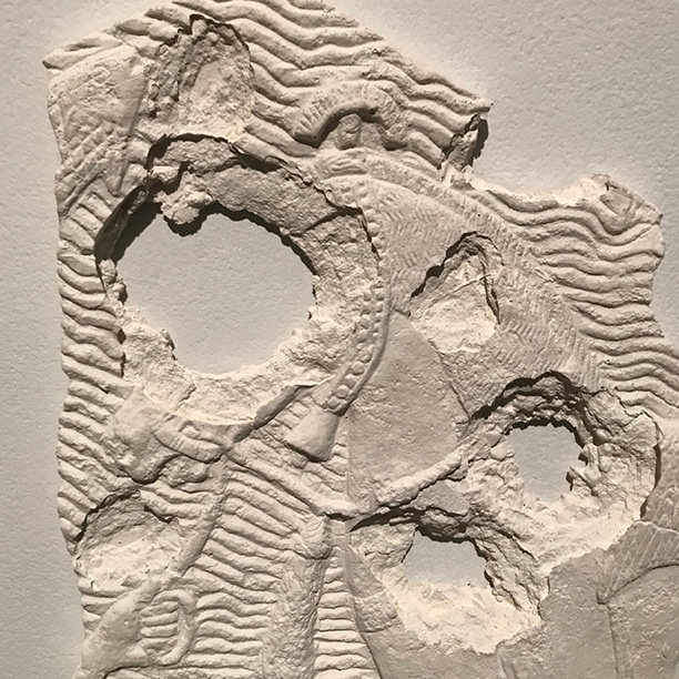 horse-relief.jpg