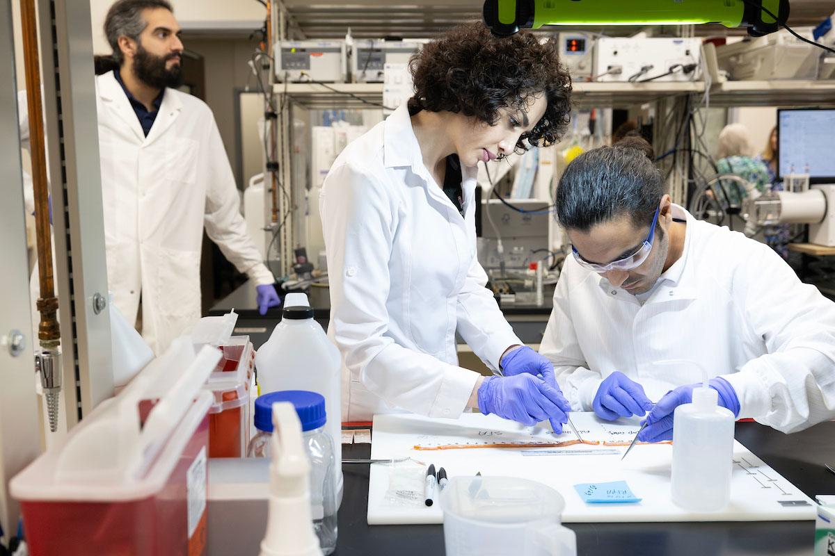 Three researchers work in a lab space