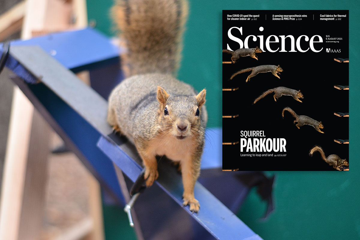 Dr. Nate Hunt makes cover of Science Magazine