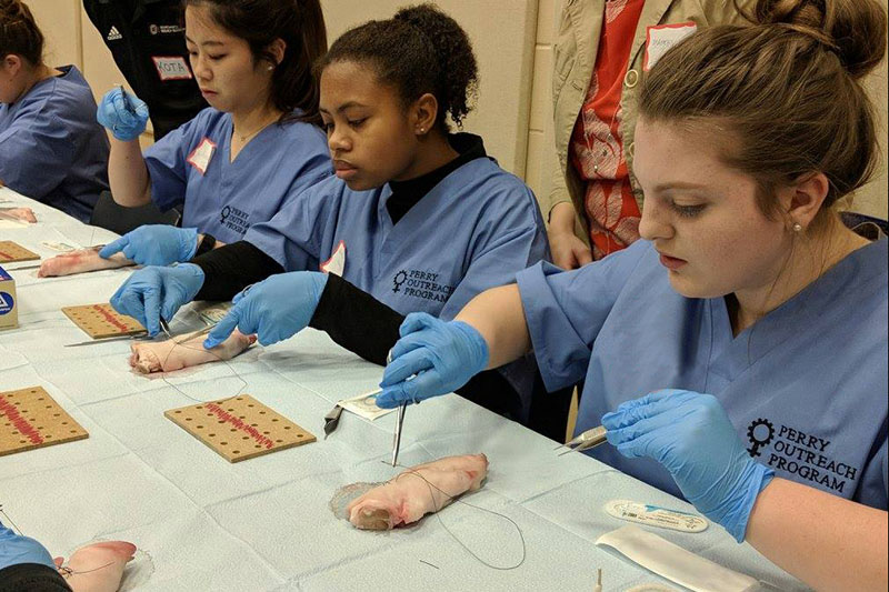 Participants performing mock surgeries