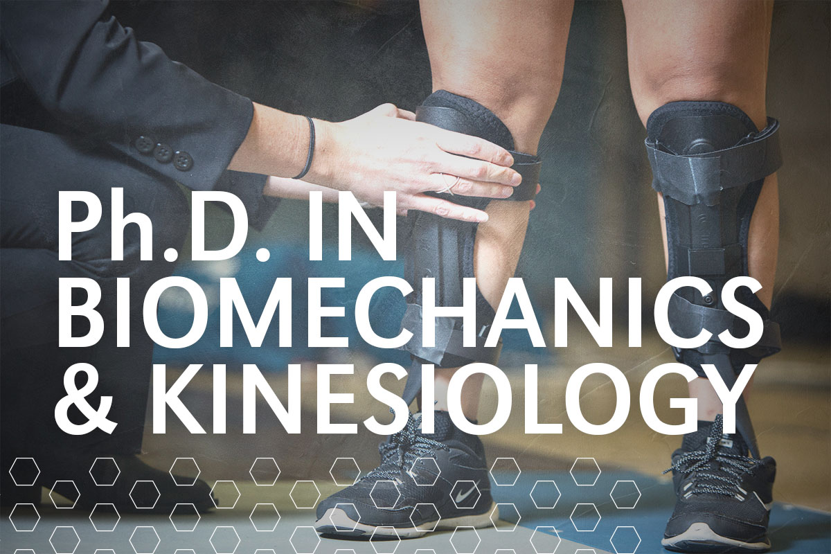 biomechanics phd programs usa