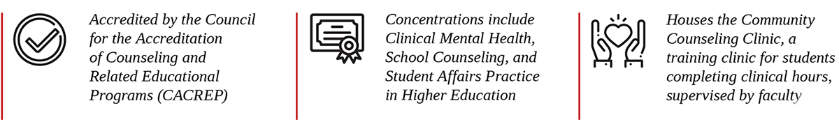 Q&A: Meet Counseling Chair Dr. Tina Chasek | School of Training, Well being, and Human Sciences