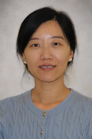 Qi Wei