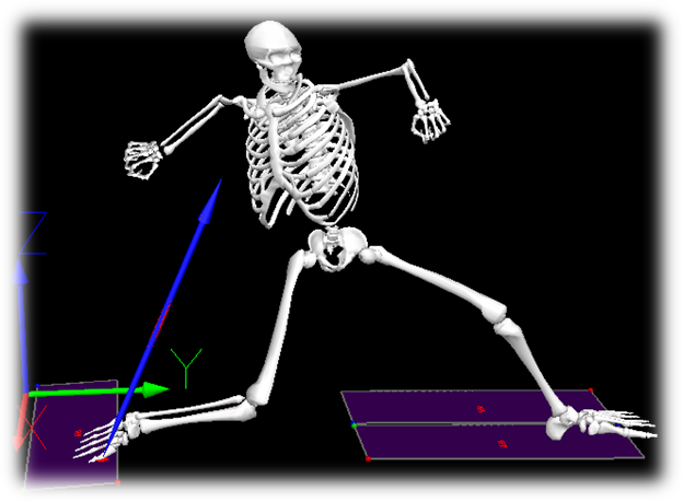 sport biomechanics phd