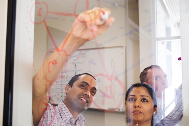 A man and a woman solving a problem at a dry erase board.