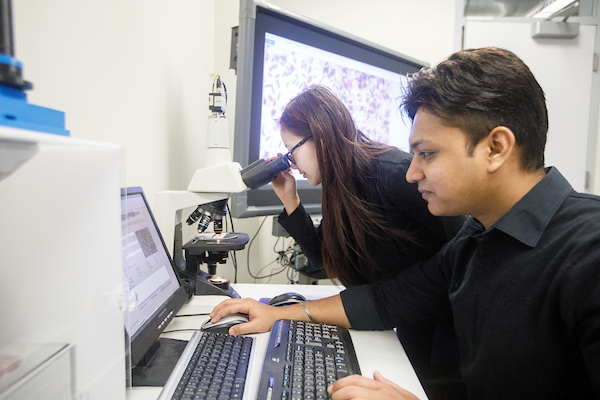 Two students working together at a computer and microscope