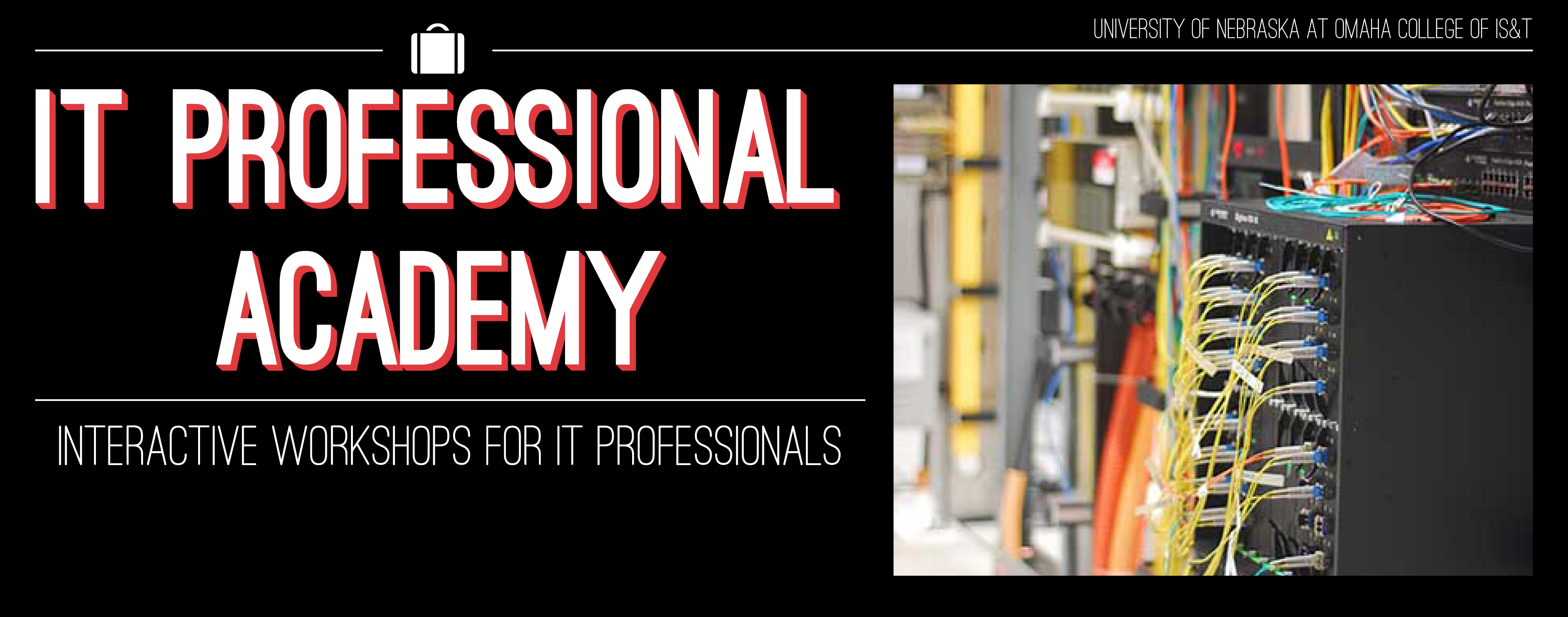 IT Academy: Interactive Workshops for Professionals