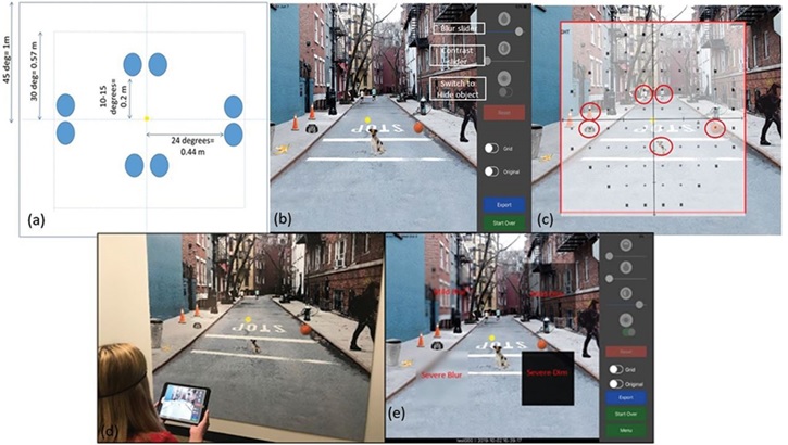 Images and explanation for iPAD Glaucoma App