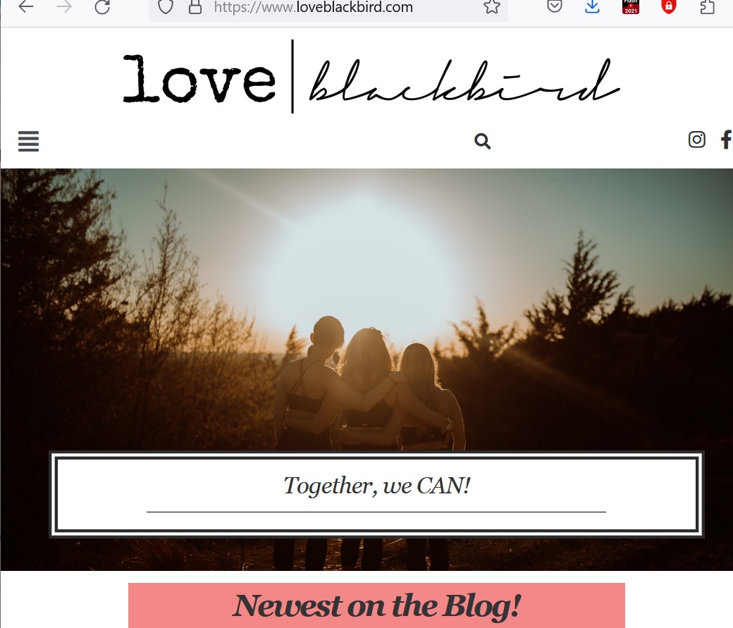 loveblackbirds-wordpress-website.jpg