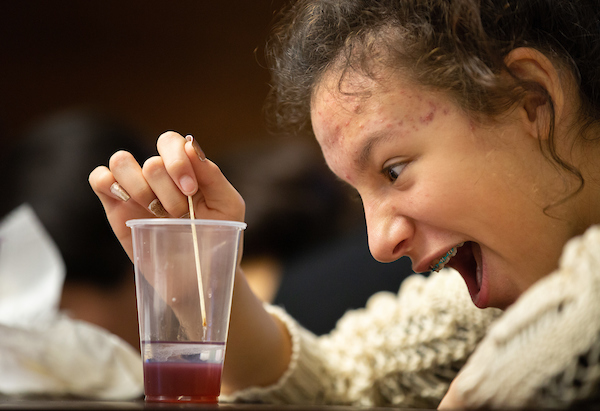 Student extracting DNA from a strawberry