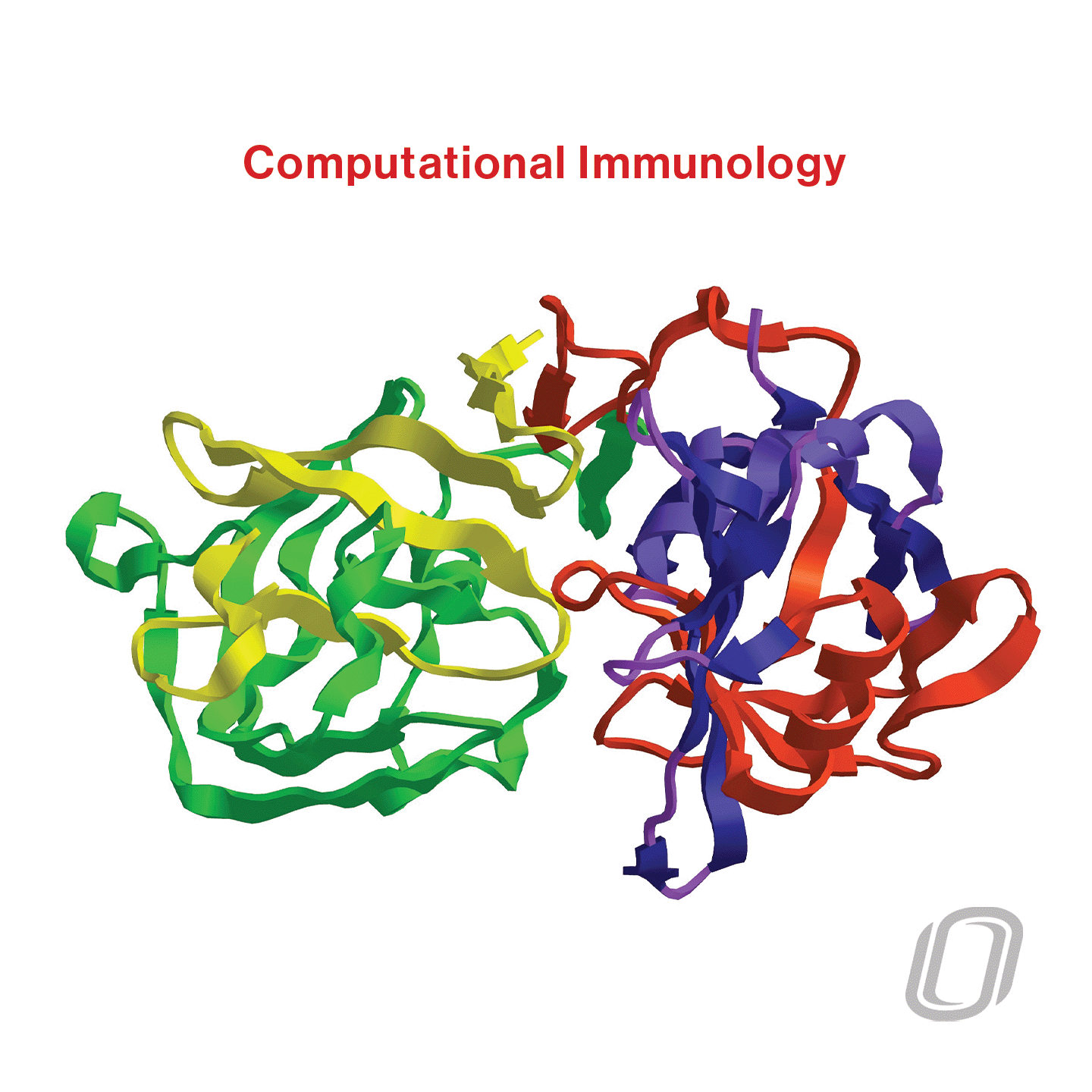 a colored depiction of a protein structure