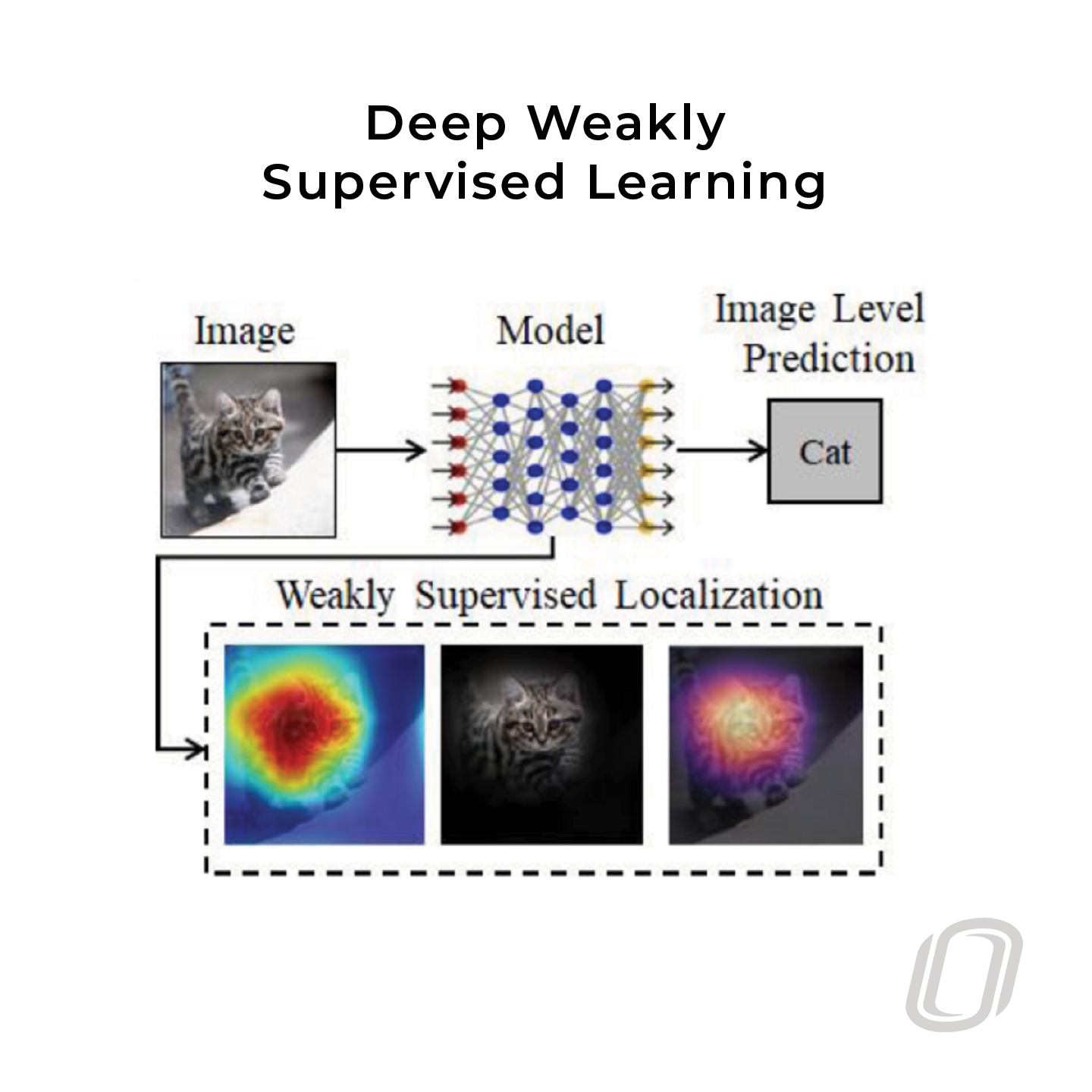 a diagram that visually represents deep weakly supervised learning with AI 