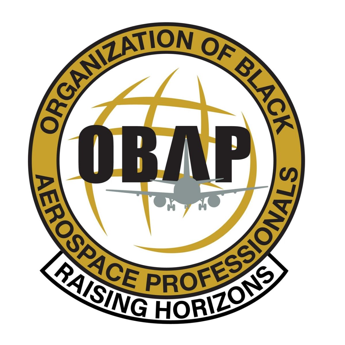 Organization of Black Aerospace Professionals icon