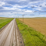 Country road with electrical poles.