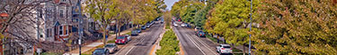 Cars parked on the street in a neighborhood.